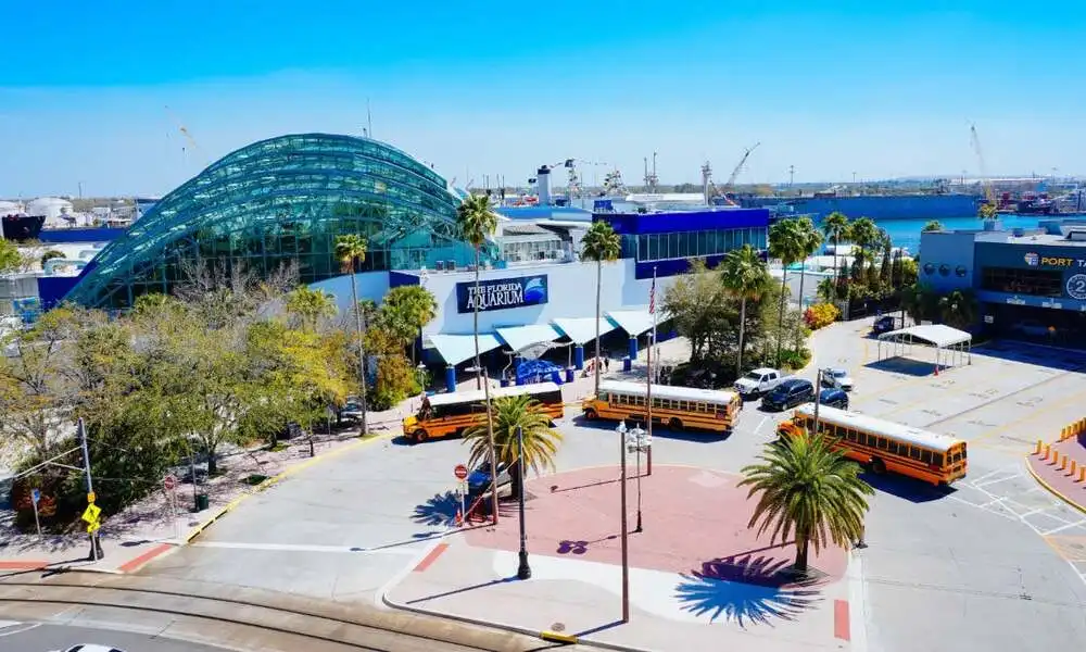 How Far is Tampa Airport from Tampa Cruise Port Guide