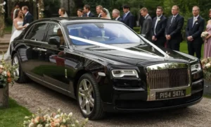 How Much Does Wedding Transportation Cost | Guide