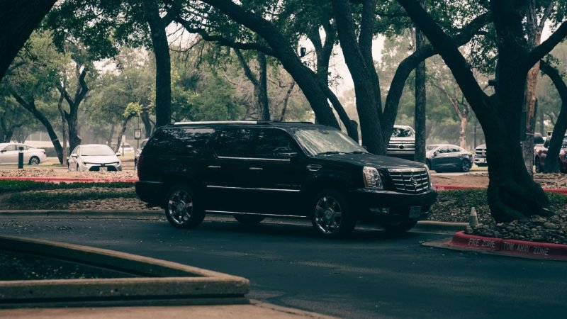 Theme Park Transportation