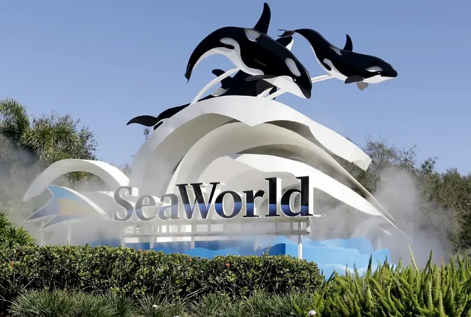 MCO-to-seaworld-transfer