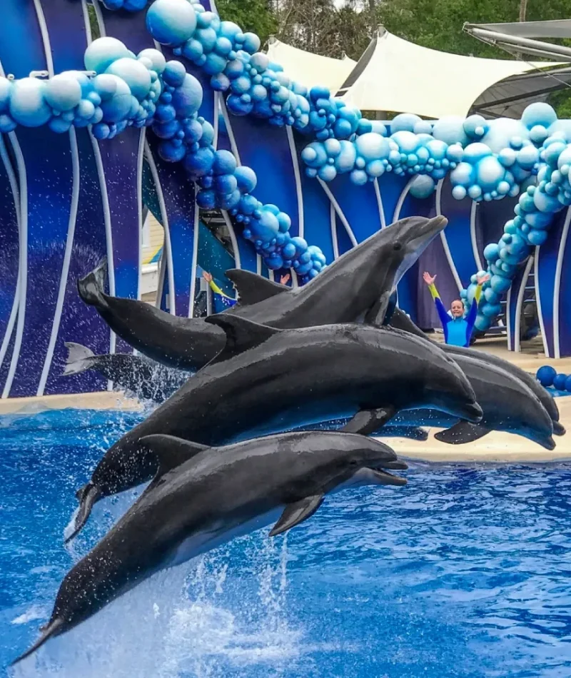 seaworld-orlando-private-car-service